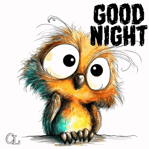 Good Night Goodnight GIF