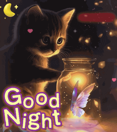 Good Night Goodnight GIF
