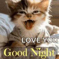 Good Night Goodnight GIF