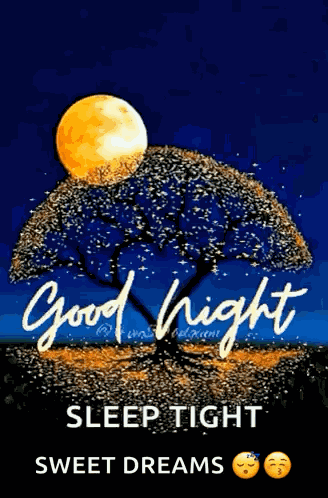 Good Night GIF