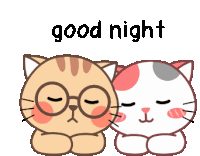 Good Night Sticker