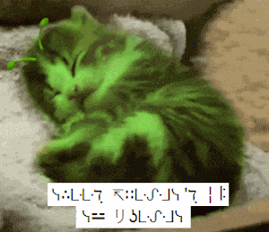 Good Night Kitty GIF