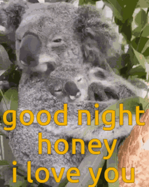 Good Night Love GIF