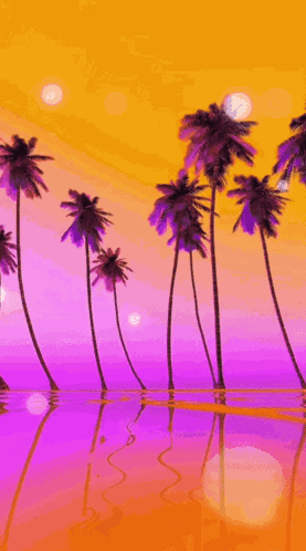 Good Night New Images GIF