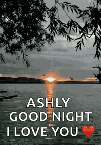 Good Night Night GIF