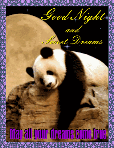 Good Night Panda GIF