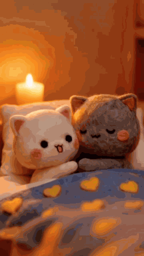 Good Night Peach And Goma GIF