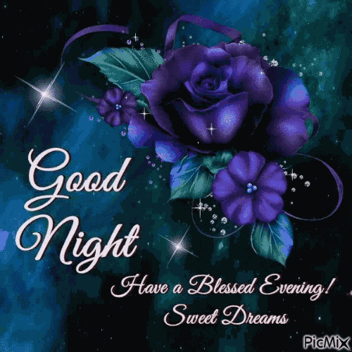 Good Night Purple GIF