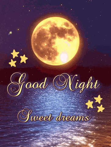 Good Night GIF
