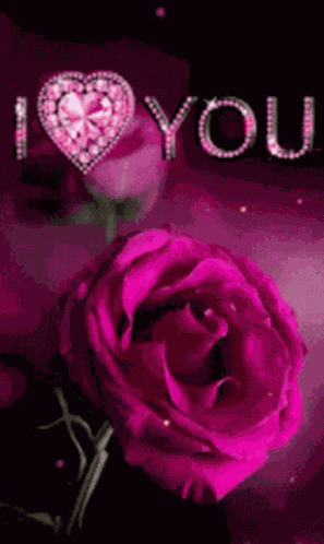 Good Night GIF