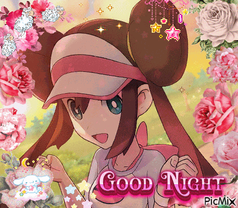 Good Night Rosa Pokemon GIF