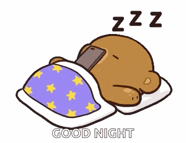 Good Night GIF