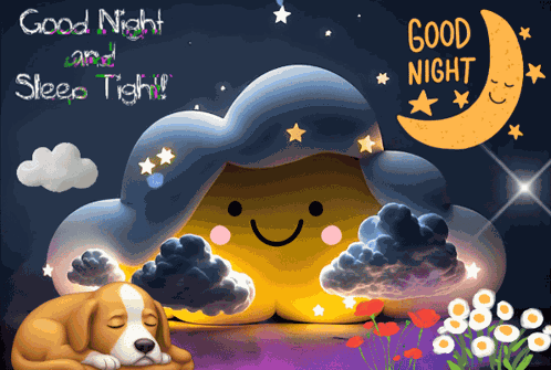 Good Night Sleep GIF