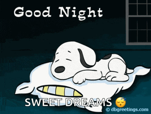 Good Night Snoopy GIF