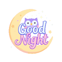 Good Night Sweet Dreams Sticker