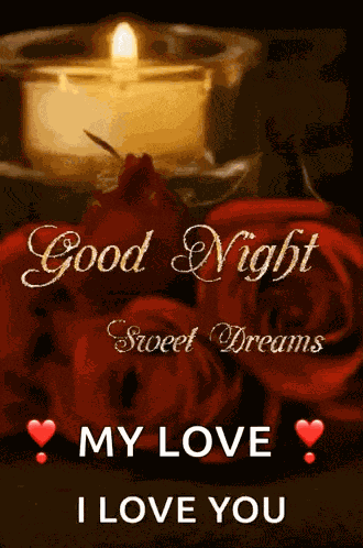 Good Night GIF