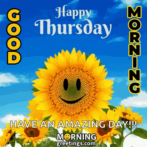 Good Thursday Morning GIF