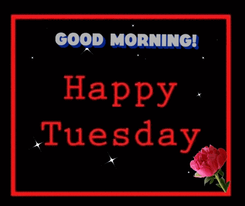 Good Tuesday Morning GIF