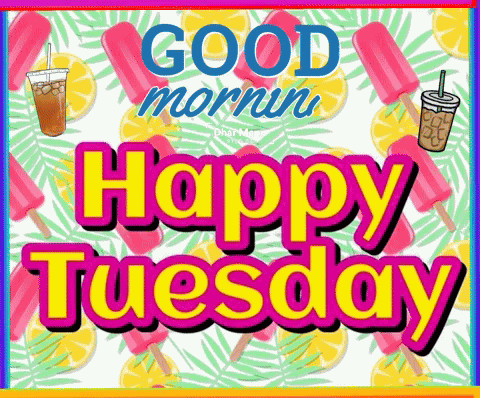 Good Tuesday Morning GIF