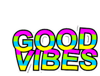 Good Vibes Have Fun Sticker