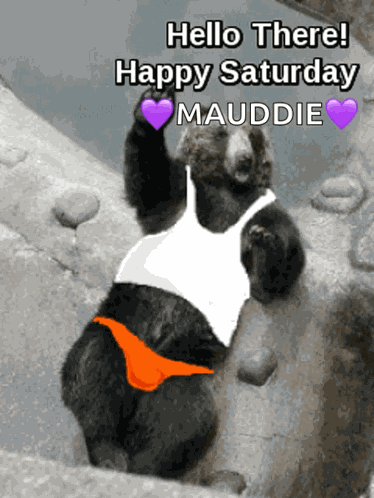 Goodafternoon Hellothere GIF