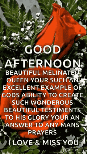 Goodafternoon Sparkles GIF