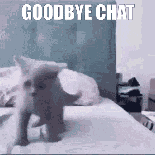 Goodbye Chat Cat GIF