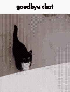 Goodbye Chat GIF