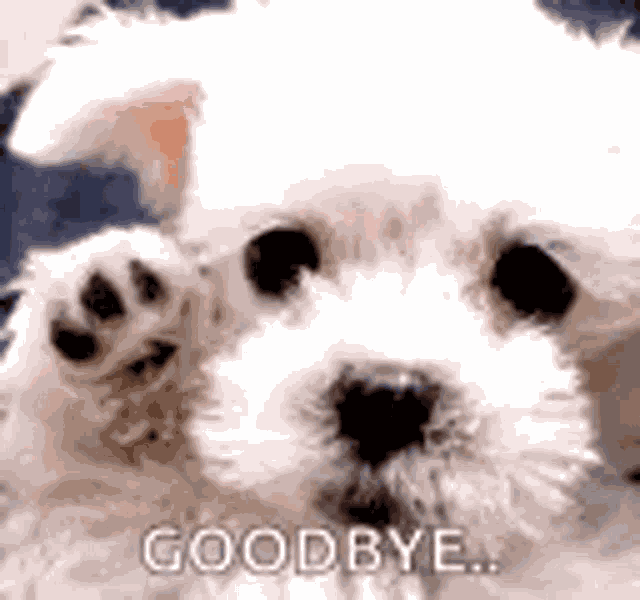 Goodbye Friend GIF