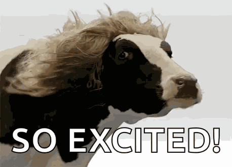 Goodhairday Cow GIF