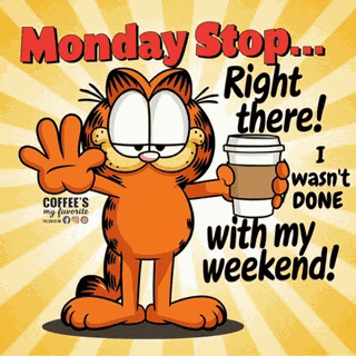 Goodmorning Cat Meme