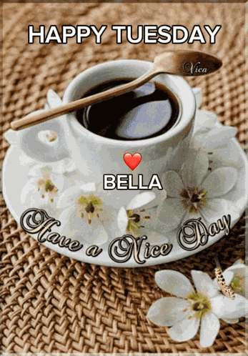 Goodmorning Happytuesday GIF