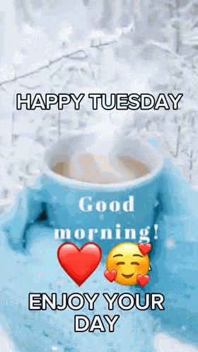 Goodmorning Happytuesday GIF