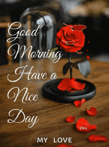 Goodmorning Haveaniceday GIF
