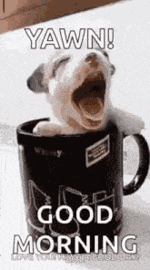 Goodmorning GIF