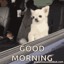 Goodmorning GIF