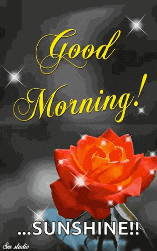 Goodmorning Rose GIF