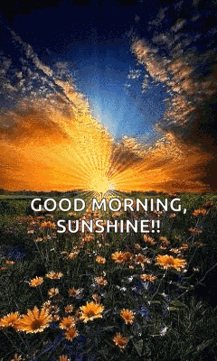 Goodmorning Sun GIF