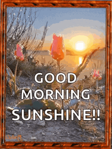 Goodmorning Sunrise GIF