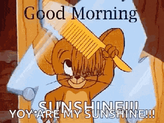Goodmorning Tomandjerry GIF