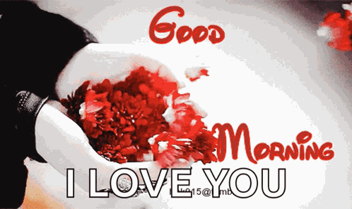 Goodmorning GIF