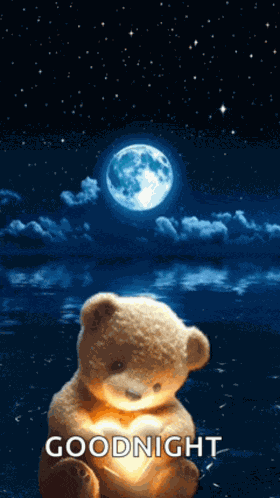 Goodnight Bear Nighty Night Meme