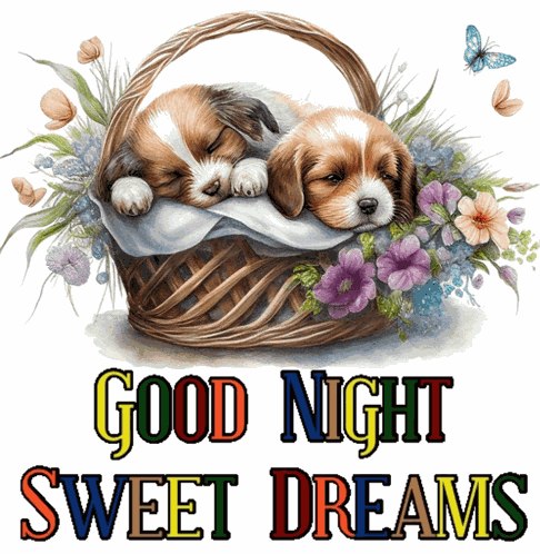 Goodnight Good Night GIF