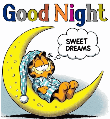 Goodnight Good Night GIF