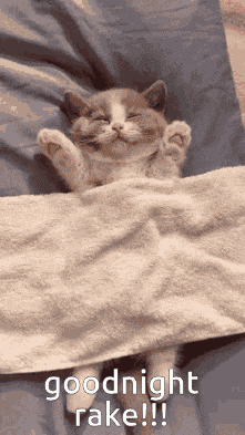 Goodnight Good Night GIF