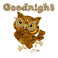 Goodnight Nught Owl Sticker