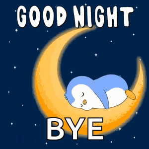 Goodnight Sleep GIF
