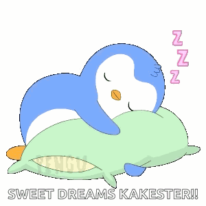 Goodnight Sleep GIF