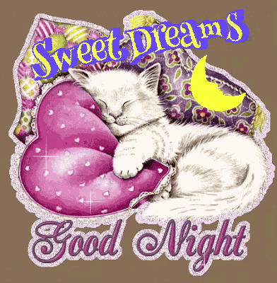 Goodnight Sweet Dreams Good Night GIF