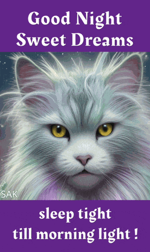 Goodningt Goodnight Meme